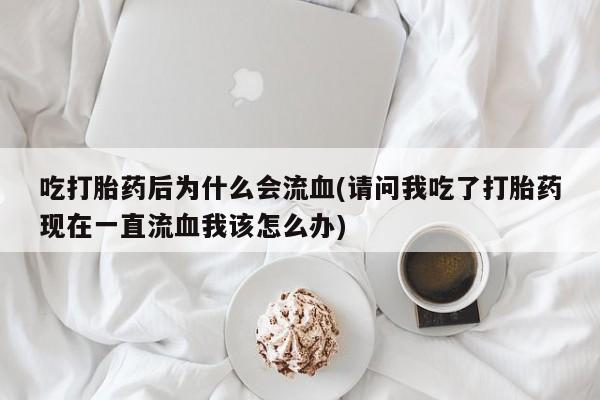admin 第116页